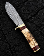 Stag antler handle with brass guard and wood spacer detail on Damascus knife